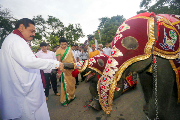 Esala-Perahera-3