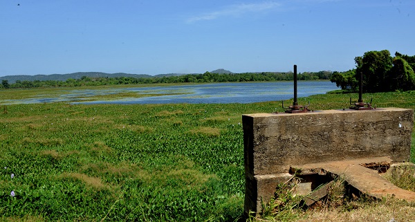 pl කඩවල වව පරතසසකරණය කරම