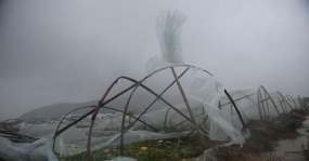 Typhoon Fung-Wong hits east China