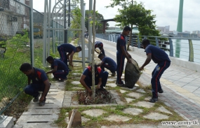 Campaign to Clean Beira Lake Surroundings