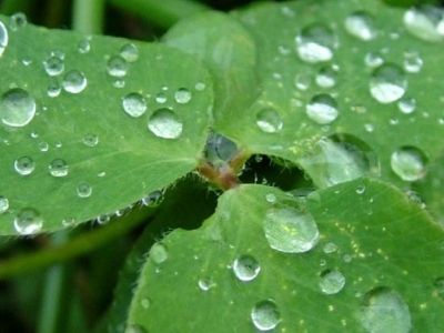 Showers   occur at the South