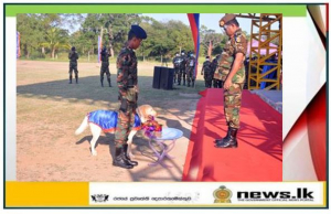 A Veterinary Hospital opens for Explosive Detection Dogs