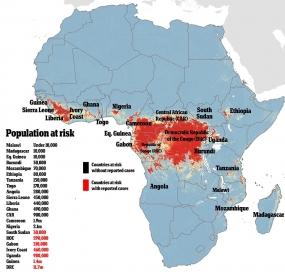 70 million people may be at risk of Ebola – Study