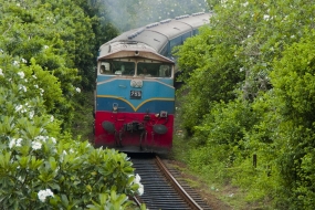 Special trains for New Year from Apr.10