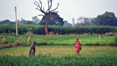 &#039;Toilet trouble&#039; for Narendra Modi and Bill Gates