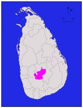 Nuwara  Eliya District going apace for the Presidential Election