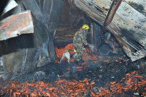 Fire at carrot-packaging factory in China leaves at least 18 dead