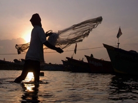 Increase in sea food exports