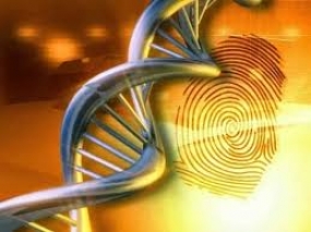 Demonstration on DNA Finger Printing Technology - Nov.5