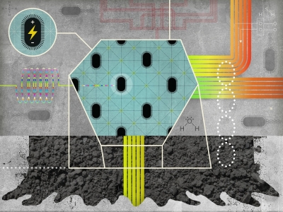 Wired Bacteria Form Nature’s Power Grid: ‘We Have an Electric Planet’