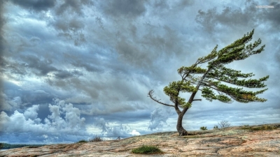 Winds to enhance over North