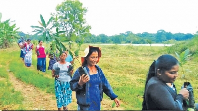 Reviving cascade (Ellangawa)  systems in Rajarata