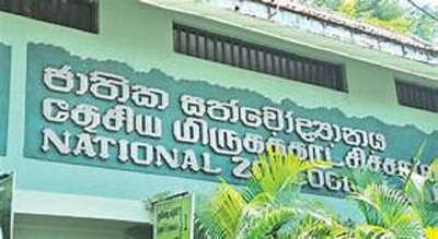 Visitors allowed to feed animals at Dehiwala Zoo