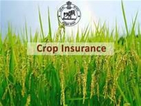 Crop insurance free for 6 varieties from Yala Season