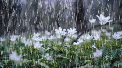 Afternoon thundershowers is still high