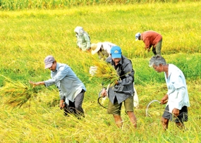 Pension for farmers