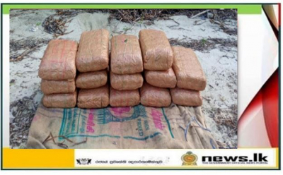    Navy recovers about 31kg of Kerala cannabis at Manthai beach