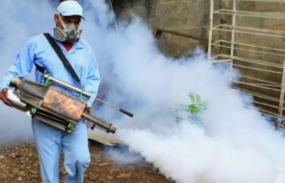 One-hour Dengue prevention program begins tomorrow