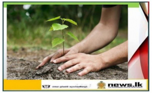 Tree planting program to mark Valentine&#039;s Day