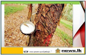 Establishment of a committee for the development of rubber cultivation and its affiliated industries in Sri Lanka.