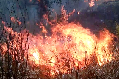 Fire in Castlereigh reserve