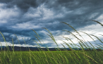 Wind speed can be increased up to 50 kmph