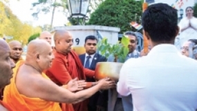 Germany receives a sapling of sacred Sri Maha Bodhi