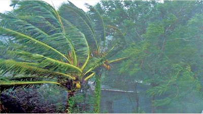 Severe wind gusts, heavy rain alert